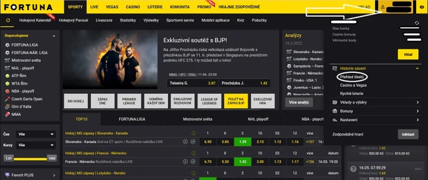 Kontrola online tiketu ve Fortuně
